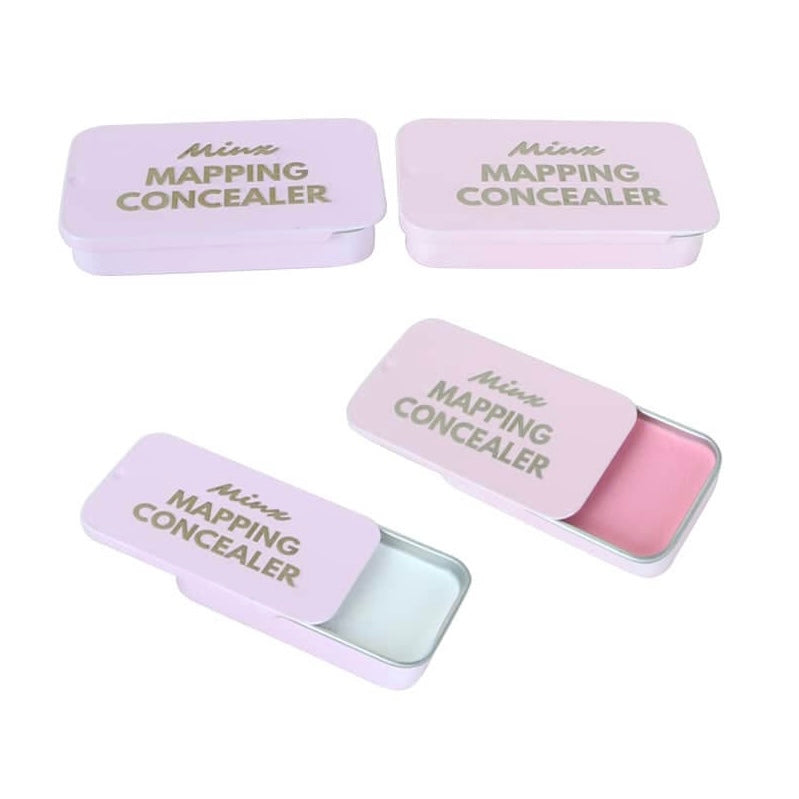 Minx Mapping Concealer Paste