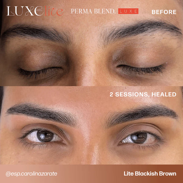 LUXE LITE Perma Blend Pigments - Full Set of 4