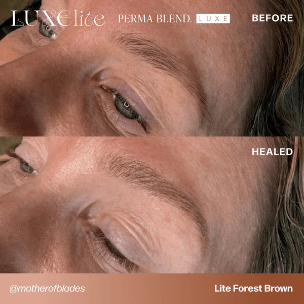 LUXE LITE Perma Blend Pigments - Full Set of 4