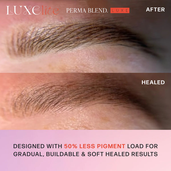 LUXE LITE Perma Blend Pigments - Full Set of 4